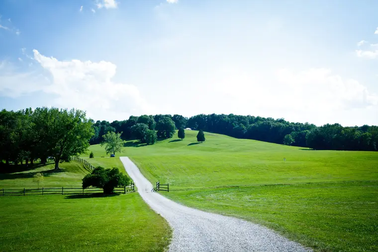The drive climbing through pasture